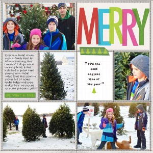 DYD 2013 - tree farm