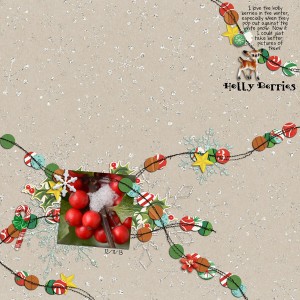Holly Berries