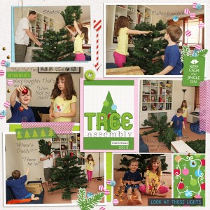 tree 2013 (L)