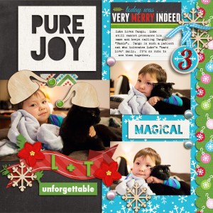 December Daily 2013 Day 3