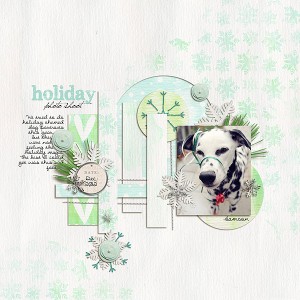 Holiday Photo Shoot