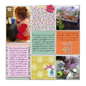 week 48