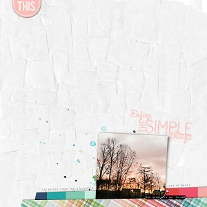 The Simple Things