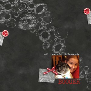 Booger