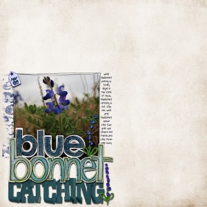 Bluebonnet Catching