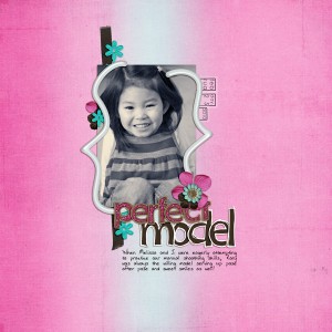 perfect model