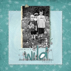 3 Wild Flowers