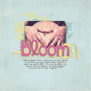 Bloom