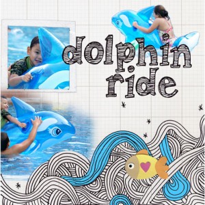 Dolphin Ride