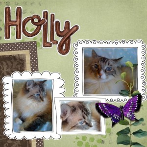 Holly