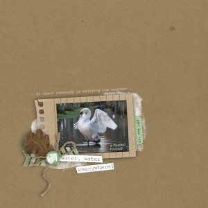 January 1 - Blind Scrap