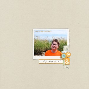 Picture Perfect- MOC 1