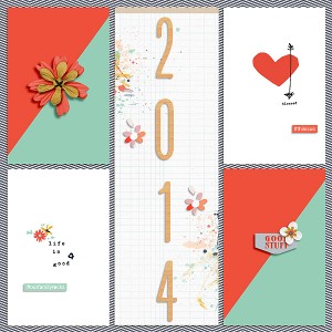 2014  Cover