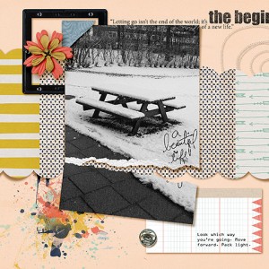 The Beginning