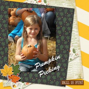 Pumpkin Picking
