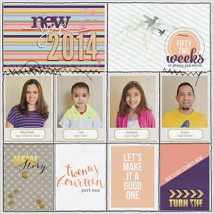 PL 2014 Intro page