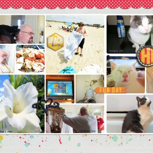 July in Review