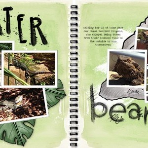 MOC 4 - Double Page Spread