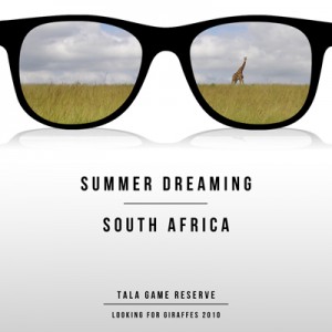 MOC 5 Summer dreaming