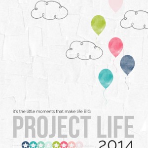 2014 cover page
