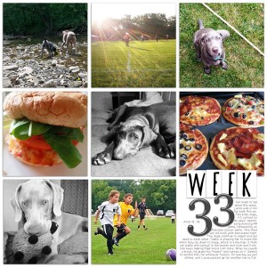 PL 2013 - Week 33