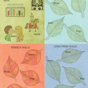 Graphic Organizer