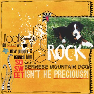 Rock