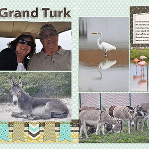 Grand Turks