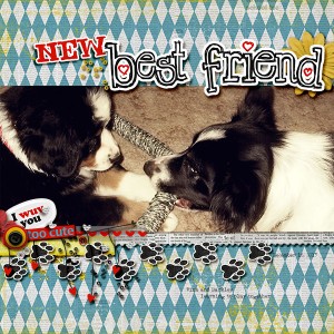New Best Friend