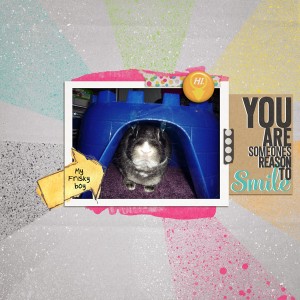 My Frisky Boy
