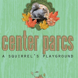 Squirrel's Playground