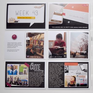 Project Life - Week 43