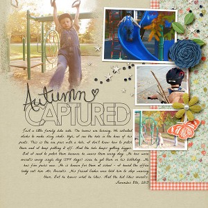 Autumn Captured