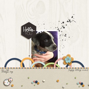 Hello You: Puppy Sitting