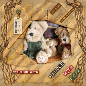 Beary Special