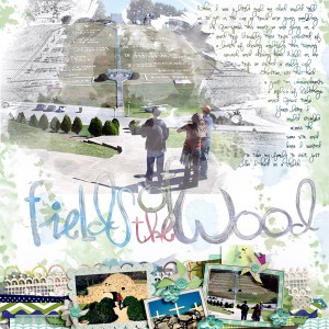 Fields of the Wood