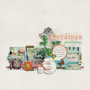 Container Garden