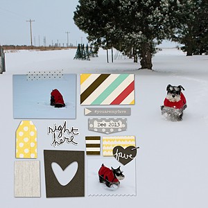 Molly's Snow