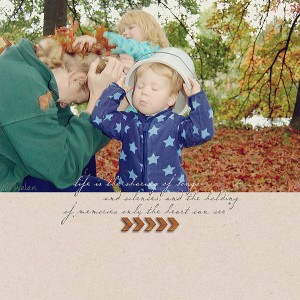 wonderfall memories