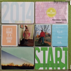 Project Life Cover
