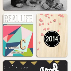 PL 2014 -- Title