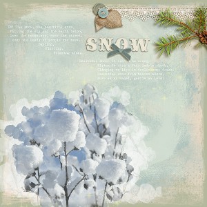 017-Snow-s