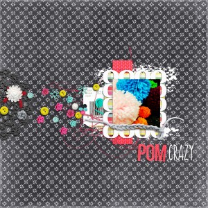 Pom Crazy