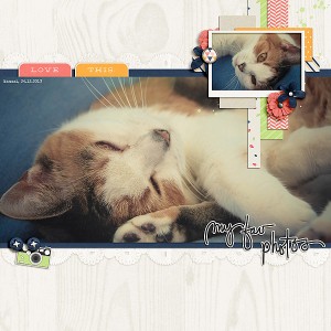 022-FavPhotos-s