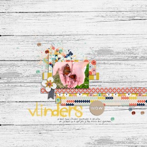 Vlinders