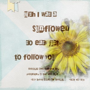 MOC - Jan8 Sunflower