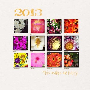 2013 in Instagram
