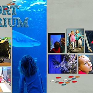 Newport Aquarium