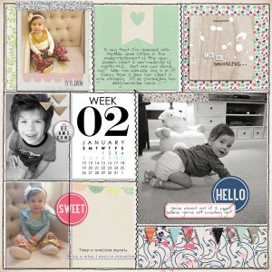 PL 2014 -- Week 2 (left)