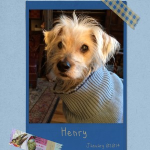 Henry